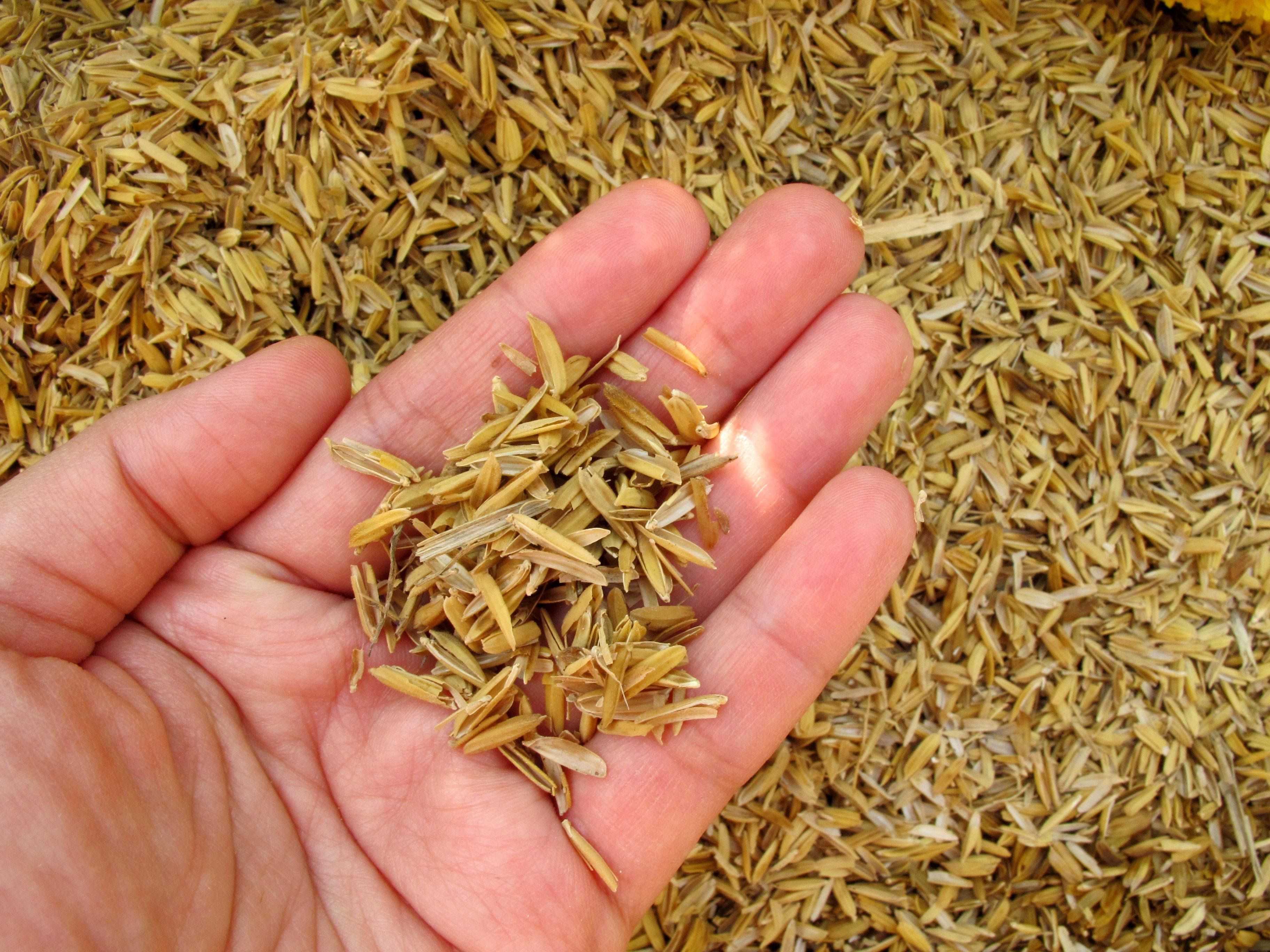 husk Bhusi